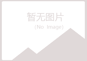 鹤岗南山海安金属有限公司